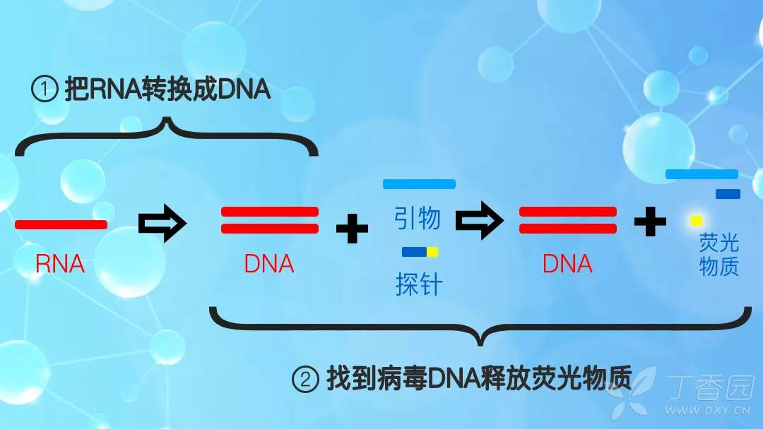 核酸檢測(cè)用到的技術(shù)