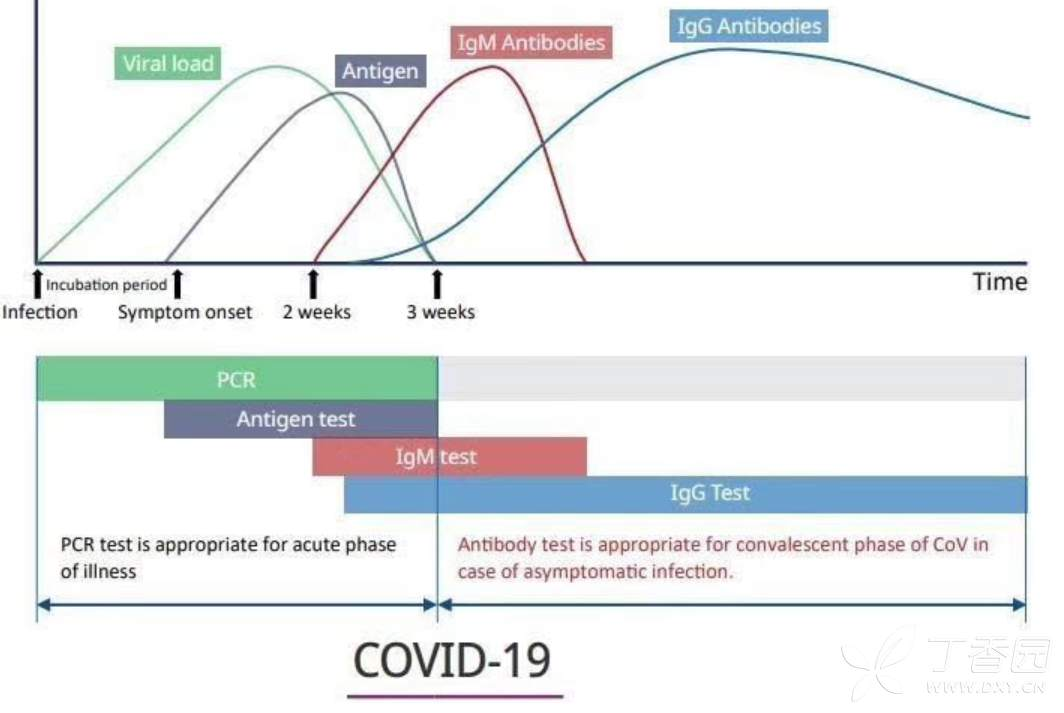 新冠病毒檢測方法的窗口期示意圖